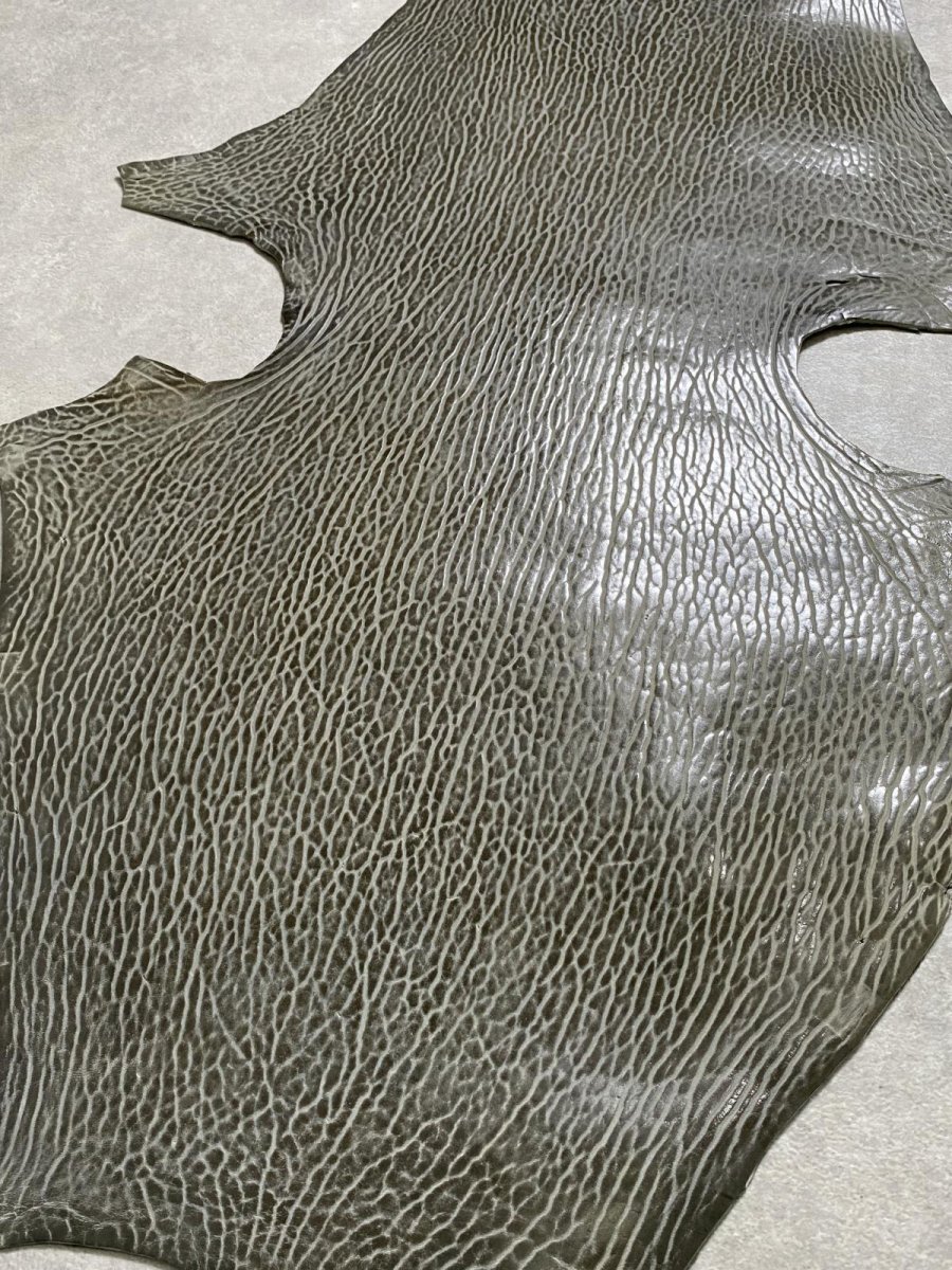 画像6: ケープシール　グレー　オットセイ革　シールスキン　 (6)