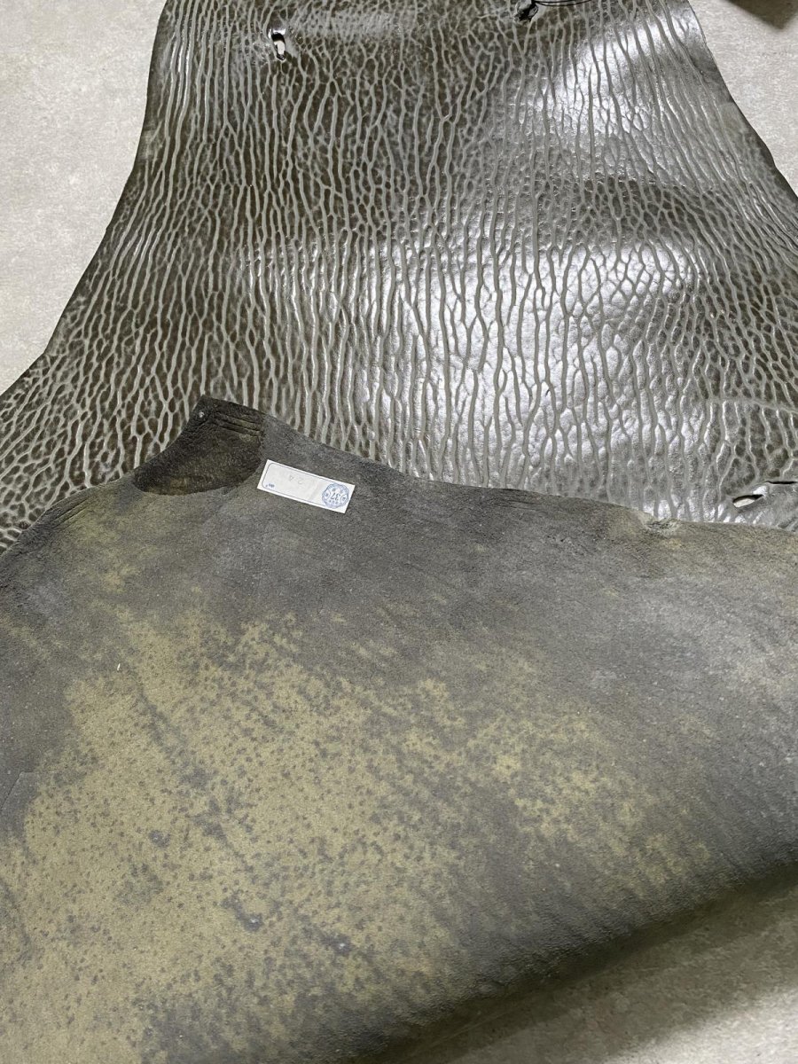 画像7: ケープシール　グレー　オットセイ革　シールスキン　 (7)