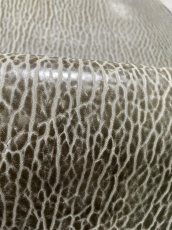 画像8: ケープシール　グレー　オットセイ革　シールスキン　 (8)