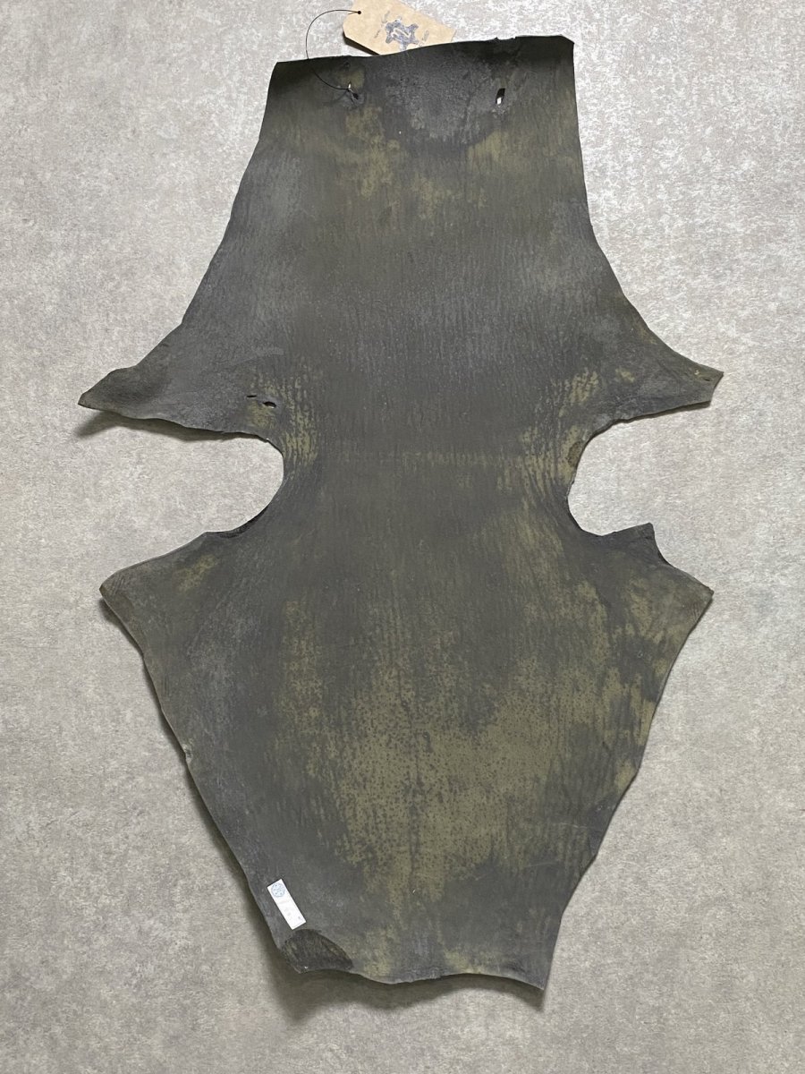 画像9: ケープシール　グレー　オットセイ革　シールスキン　 (9)