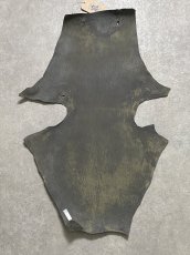 画像9: ケープシール　グレー　オットセイ革　シールスキン　 (9)