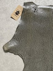 画像2: ケープシール　グレー　オットセイ革　シールスキン　 (2)