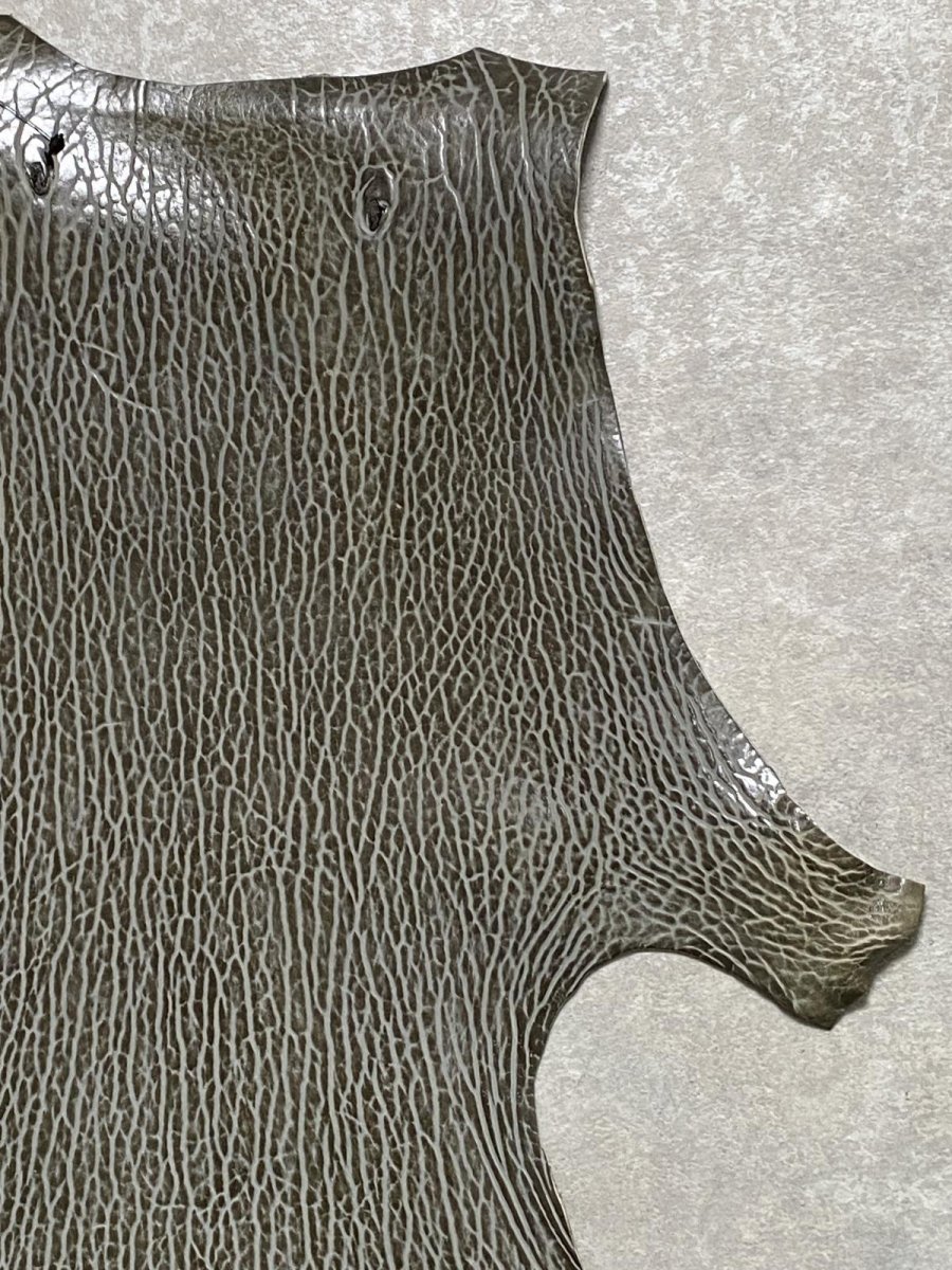 画像3: ケープシール　グレー　オットセイ革　シールスキン　 (3)