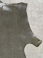 画像3: ケープシール　グレー　オットセイ革　シールスキン　 (3)