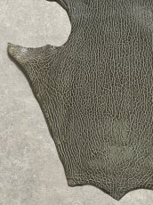 画像4: ケープシール　グレー　オットセイ革　シールスキン　 (4)