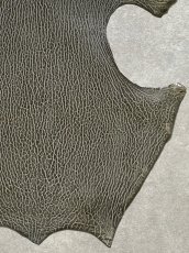 画像5: ケープシール　グレー　オットセイ革　シールスキン　 (5)