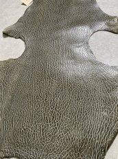 画像6: ケープシール　グレー　オットセイ革　シールスキン　 (6)