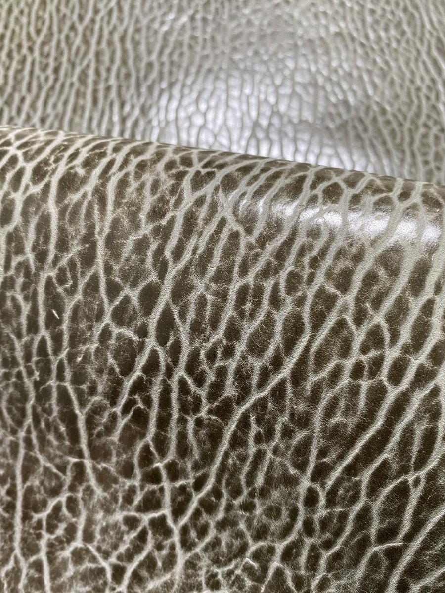 画像8: ケープシール　グレー　オットセイ革　シールスキン　 (8)