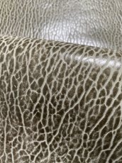 画像8: ケープシール　グレー　オットセイ革　シールスキン　 (8)