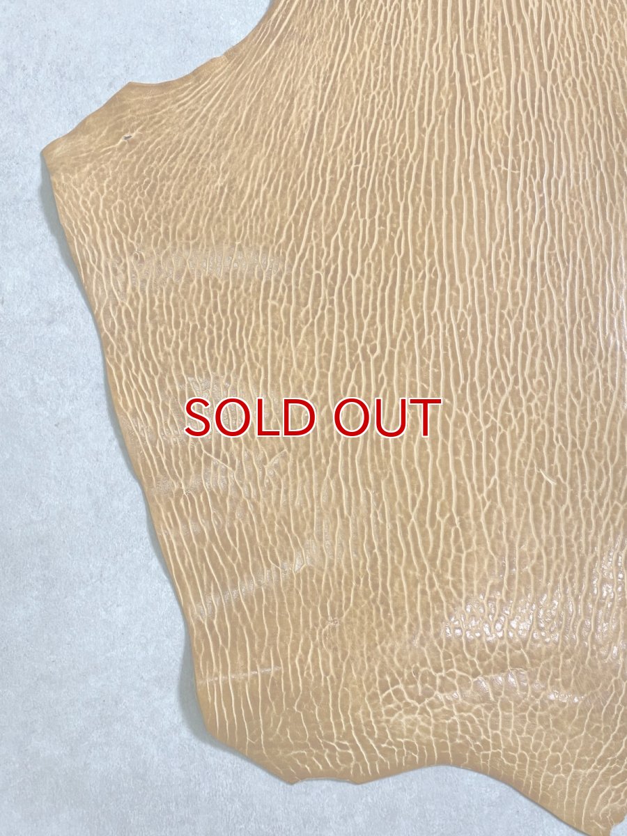 画像4: ケープシール　キャメル　オットセイ革　シールスキン　エキゾチックレザー (4)