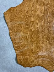 画像4: ケープシール　キャメル　オットセイ革　シールスキン　エキゾチックレザー (4)