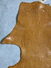 画像2: ケープシール　キャメル　オットセイ革　シールスキン　エキゾチックレザー (2)