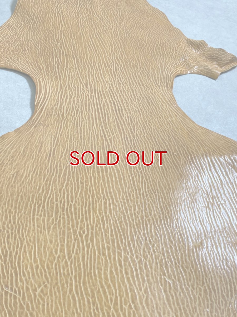 画像6: ケープシール　キャメル　オットセイ革　シールスキン　エキゾチックレザー (6)