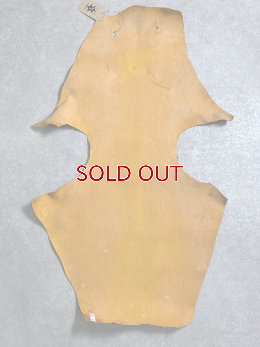 画像8: ケープシール　キャメル　オットセイ革　シールスキン　エキゾチックレザー (8)