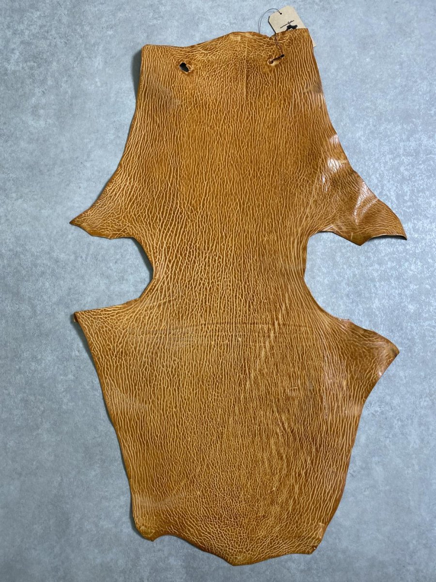 画像1: ケープシール　キャメル　オットセイ革　シールスキン　エキゾチックレザー (1)