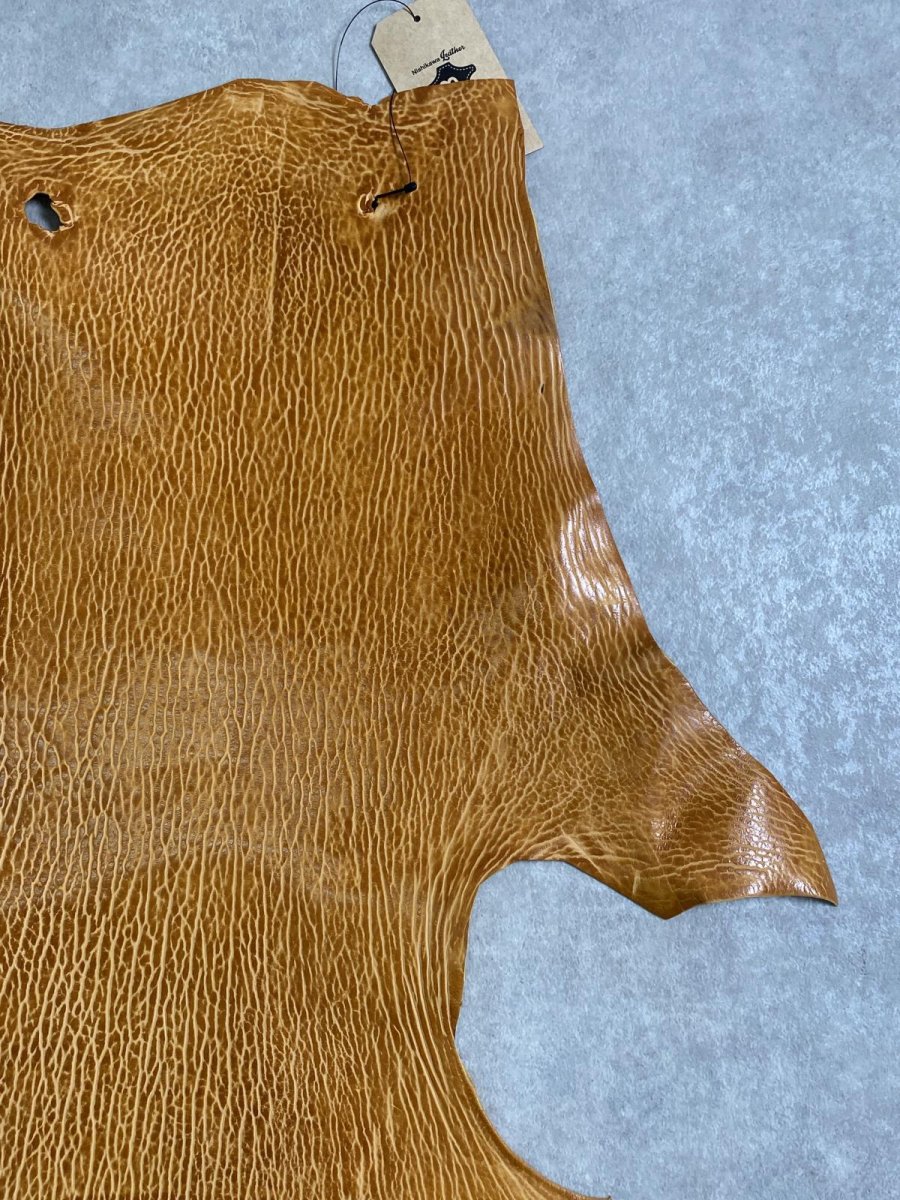 画像3: ケープシール　キャメル　オットセイ革　シールスキン　エキゾチックレザー (3)