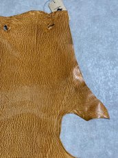 画像3: ケープシール　キャメル　オットセイ革　シールスキン　エキゾチックレザー (3)