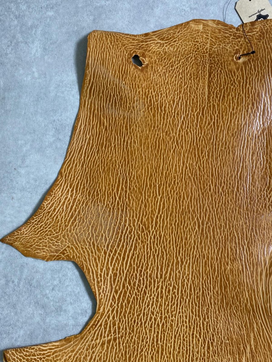 画像2: ケープシール　キャメル　オットセイ革　シールスキン　エキゾチックレザー (2)