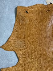 画像2: ケープシール　キャメル　オットセイ革　シールスキン　エキゾチックレザー (2)