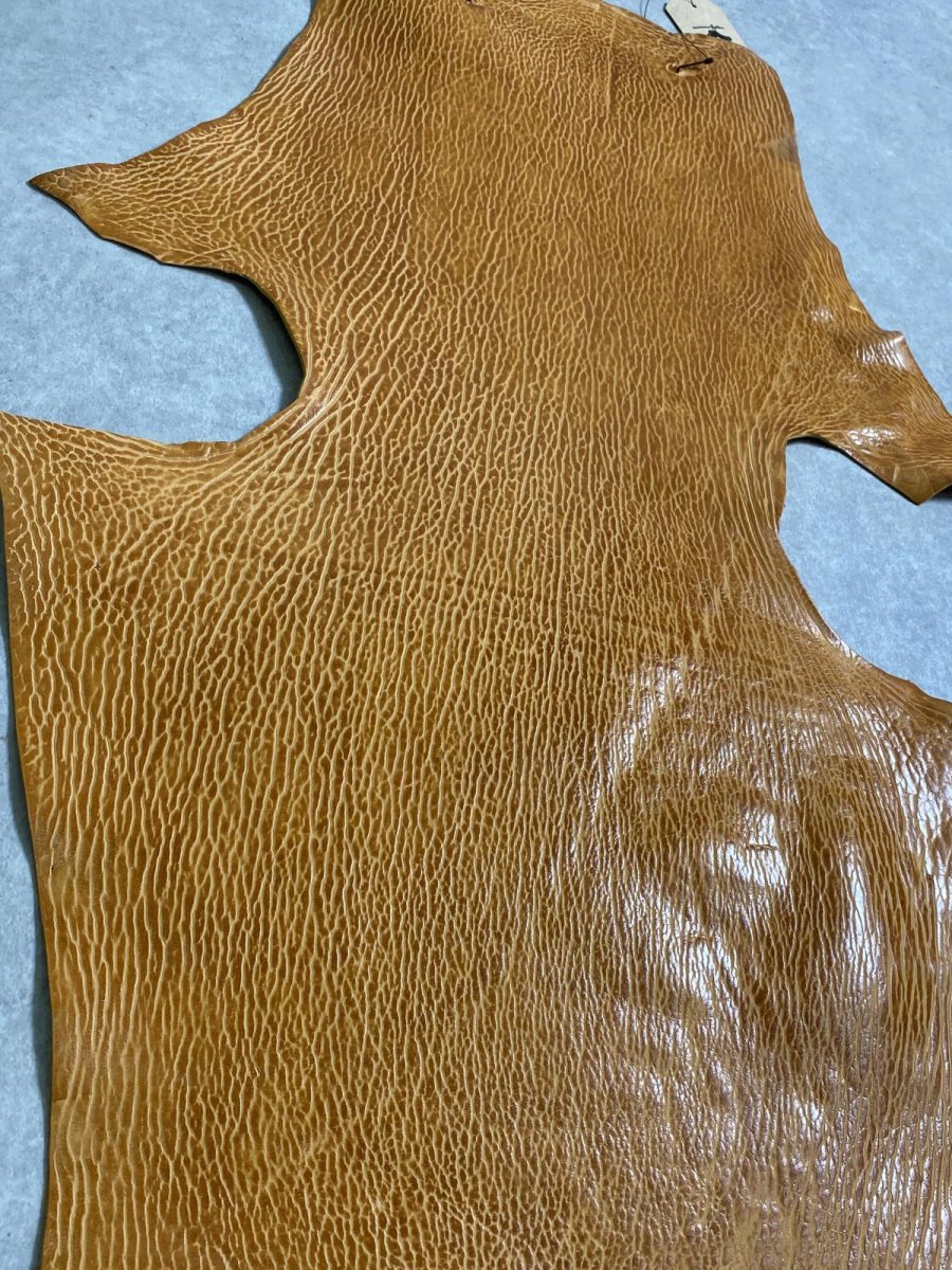 画像6: ケープシール　キャメル　オットセイ革　シールスキン　エキゾチックレザー (6)