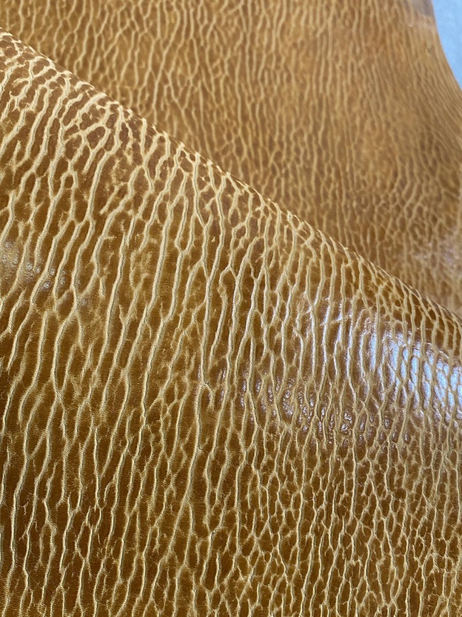 画像7: ケープシール　キャメル　オットセイ革　シールスキン　エキゾチックレザー (7)