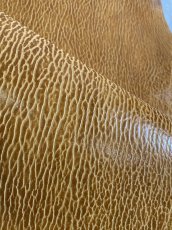 画像7: ケープシール　キャメル　オットセイ革　シールスキン　エキゾチックレザー (7)