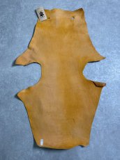 画像8: ケープシール　キャメル　オットセイ革　シールスキン　エキゾチックレザー (8)