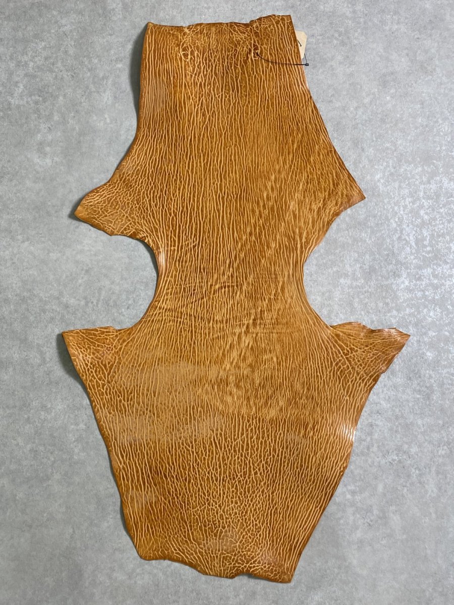 画像1: ケープシール　キャメル　オットセイ革　シールスキン　エキゾチックレザー (1)