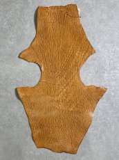 画像1: ケープシール　キャメル　オットセイ革　シールスキン　エキゾチックレザー (1)