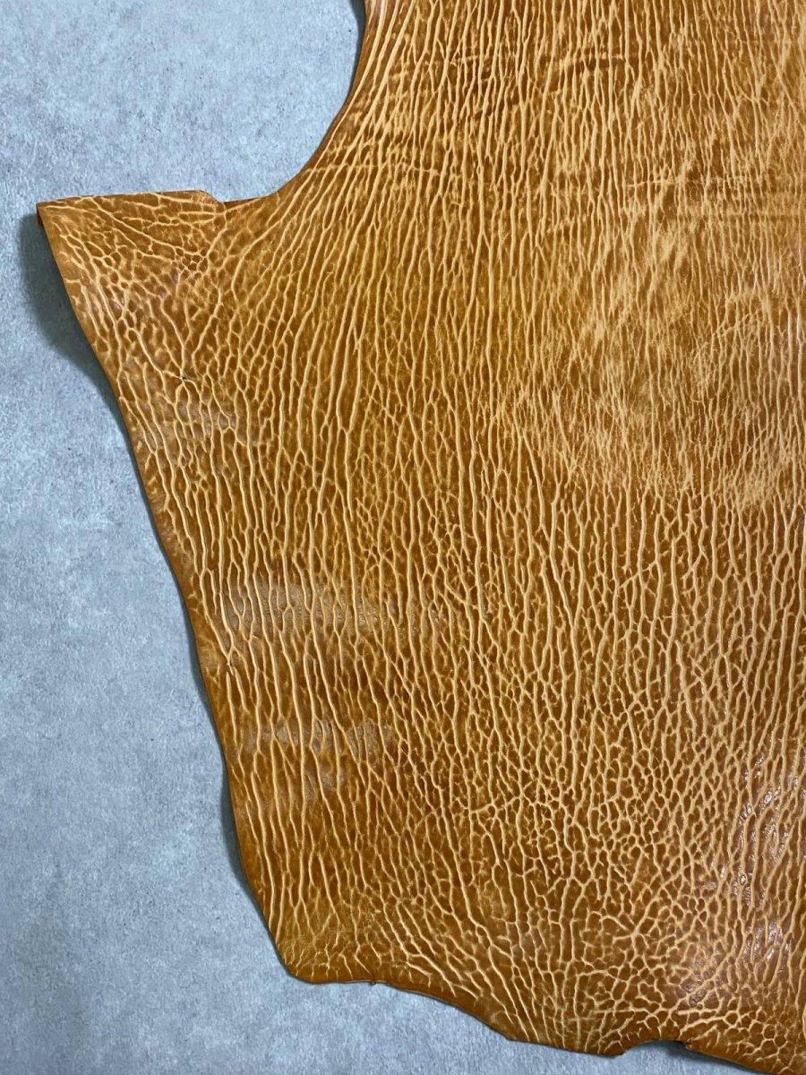 画像4: ケープシール　キャメル　オットセイ革　シールスキン　エキゾチックレザー (4)