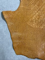 画像4: ケープシール　キャメル　オットセイ革　シールスキン　エキゾチックレザー (4)