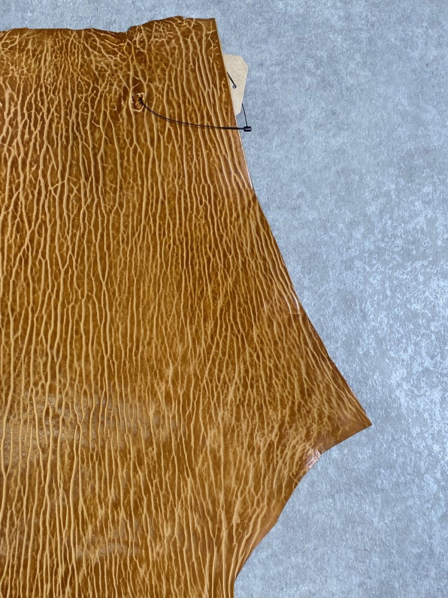 画像3: ケープシール　キャメル　オットセイ革　シールスキン　エキゾチックレザー (3)