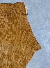 画像3: ケープシール　キャメル　オットセイ革　シールスキン　エキゾチックレザー (3)