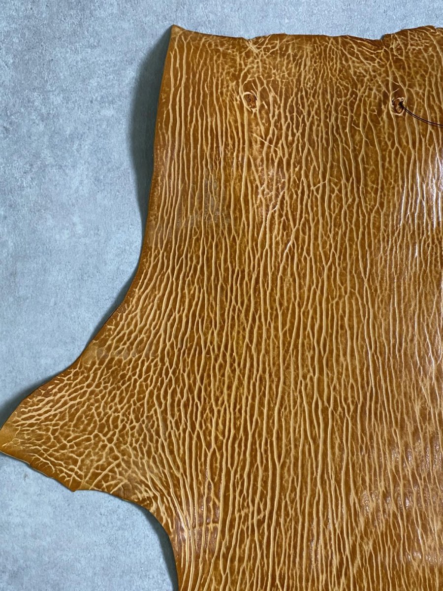 画像2: ケープシール　キャメル　オットセイ革　シールスキン　エキゾチックレザー (2)