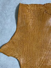 画像2: ケープシール　キャメル　オットセイ革　シールスキン　エキゾチックレザー (2)