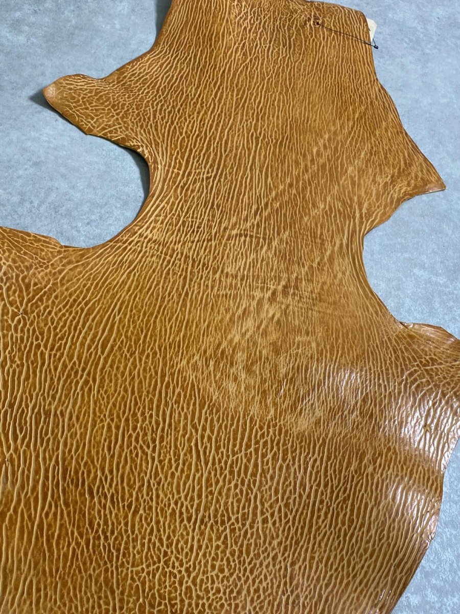 画像6: ケープシール　キャメル　オットセイ革　シールスキン　エキゾチックレザー (6)