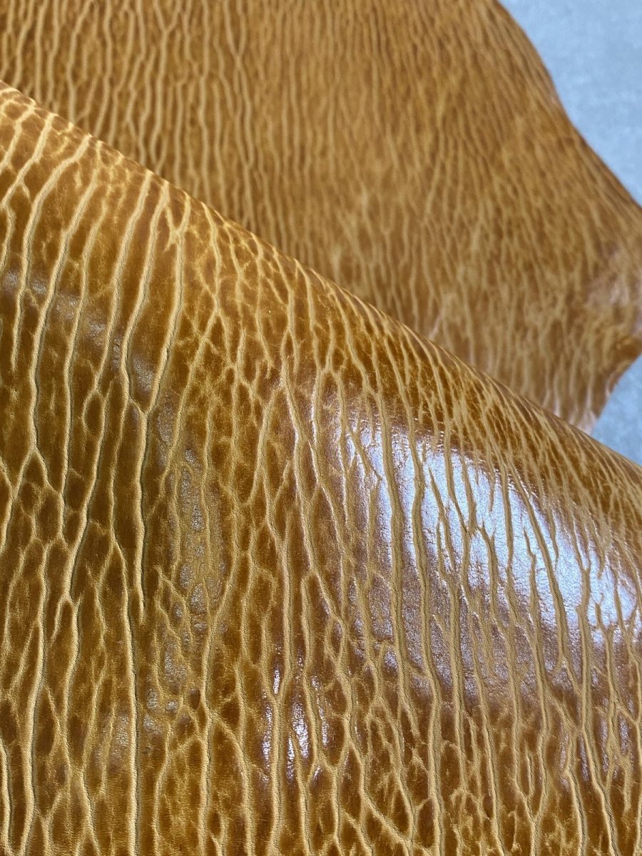 画像7: ケープシール　キャメル　オットセイ革　シールスキン　エキゾチックレザー (7)