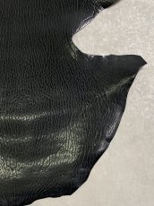 画像4: ケープシール　ブラック　オットセイ革　シールスキン (4)