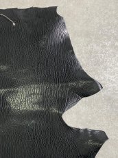 画像3: ケープシール　ブラック　オットセイ革　シールスキン (3)