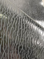 画像7: ケープシール　ブラック　オットセイ革　シールスキン (7)