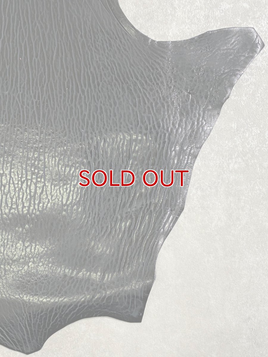 画像5: ケープシール　ブラック　オットセイ革　シールスキン (5)