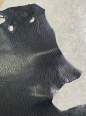 画像3: ケープシール　ブラック　オットセイ革　シールスキン (3)