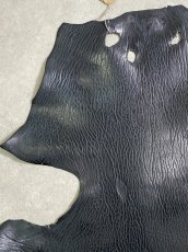 画像2: ケープシール　ブラック　オットセイ革　シールスキン (2)