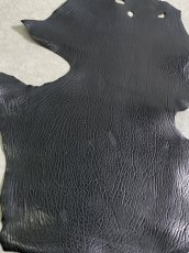 画像6: ケープシール　ブラック　オットセイ革　シールスキン (6)