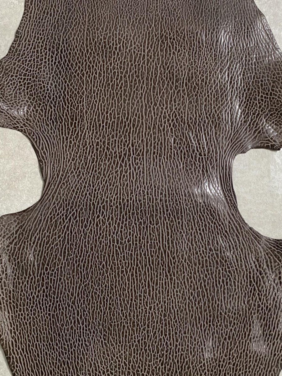 画像2: ケープシール　ニコチン　オットセイ革　シールスキン　エキゾチックレザー (2)