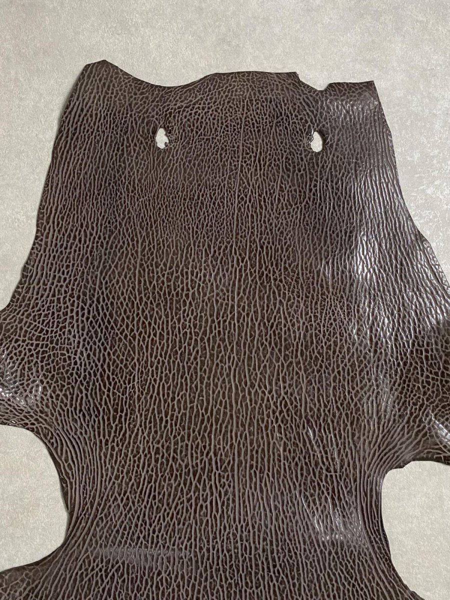 画像3: ケープシール　ニコチン　オットセイ革　シールスキン　エキゾチックレザー (3)