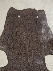 画像3: ケープシール　ニコチン　オットセイ革　シールスキン　エキゾチックレザー (3)