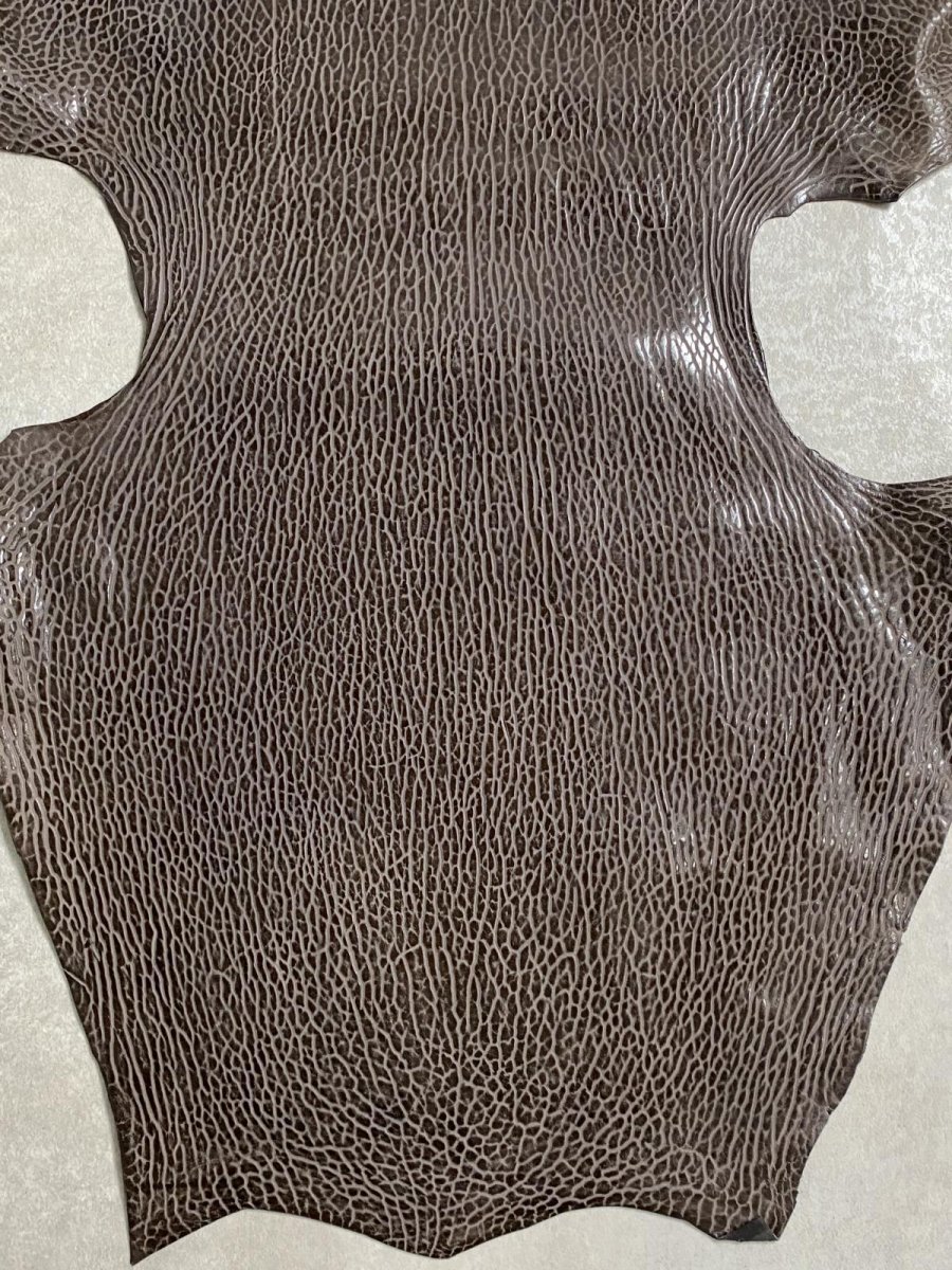 画像4: ケープシール　ニコチン　オットセイ革　シールスキン　エキゾチックレザー (4)