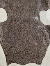 画像4: ケープシール　ニコチン　オットセイ革　シールスキン　エキゾチックレザー (4)