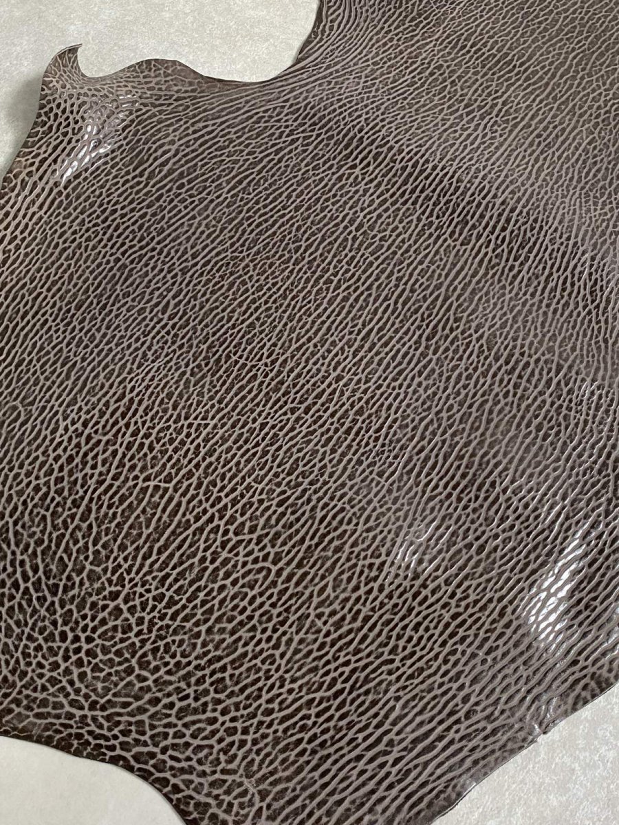 画像6: ケープシール　ニコチン　オットセイ革　シールスキン　エキゾチックレザー (6)